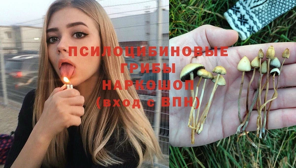 первитин Верея