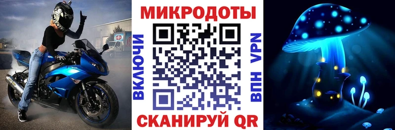 Галлюциногенные грибы Psilocybine cubensis  Краснознаменск 